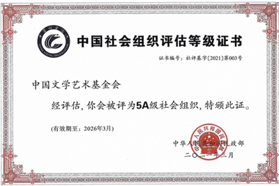 5A级社会组织